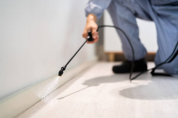 Professional exterminator conducting IPM assessment in Fort Branch